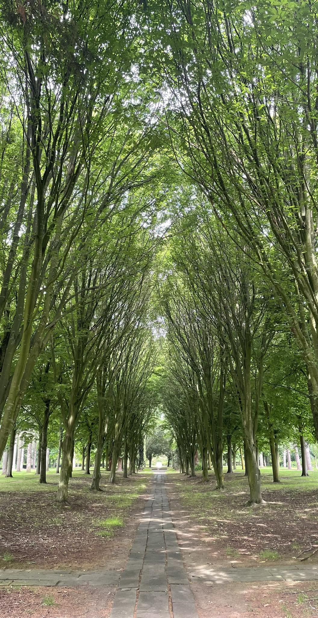 Accompanied Ashes Delivery to Milton Keynes | Reflection at the Tree Cathedral We collected cremated remains from M.K. Ginder & Sons in South Oxhey and delivered them personally to a family in Milton Keynes, pausing to reflect at the beautiful Tree Cathedral near Willen Lake.